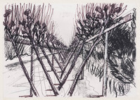 KT 1998 031
<br/>
Ash ditch
<br/>
<em>Buisman, Sjoerd (1948)</em>